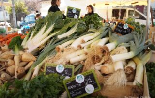 Weekly Market St Paul Le Jeune