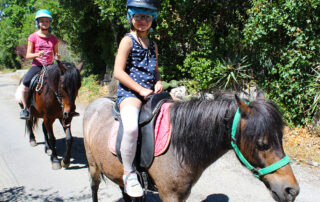 Stage à Poneys et Balades à poneys