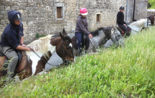 Guided Hike on horseback  - Equitation Chavetourte