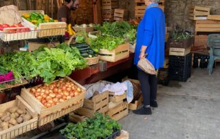 Marché Domaine du Vialat