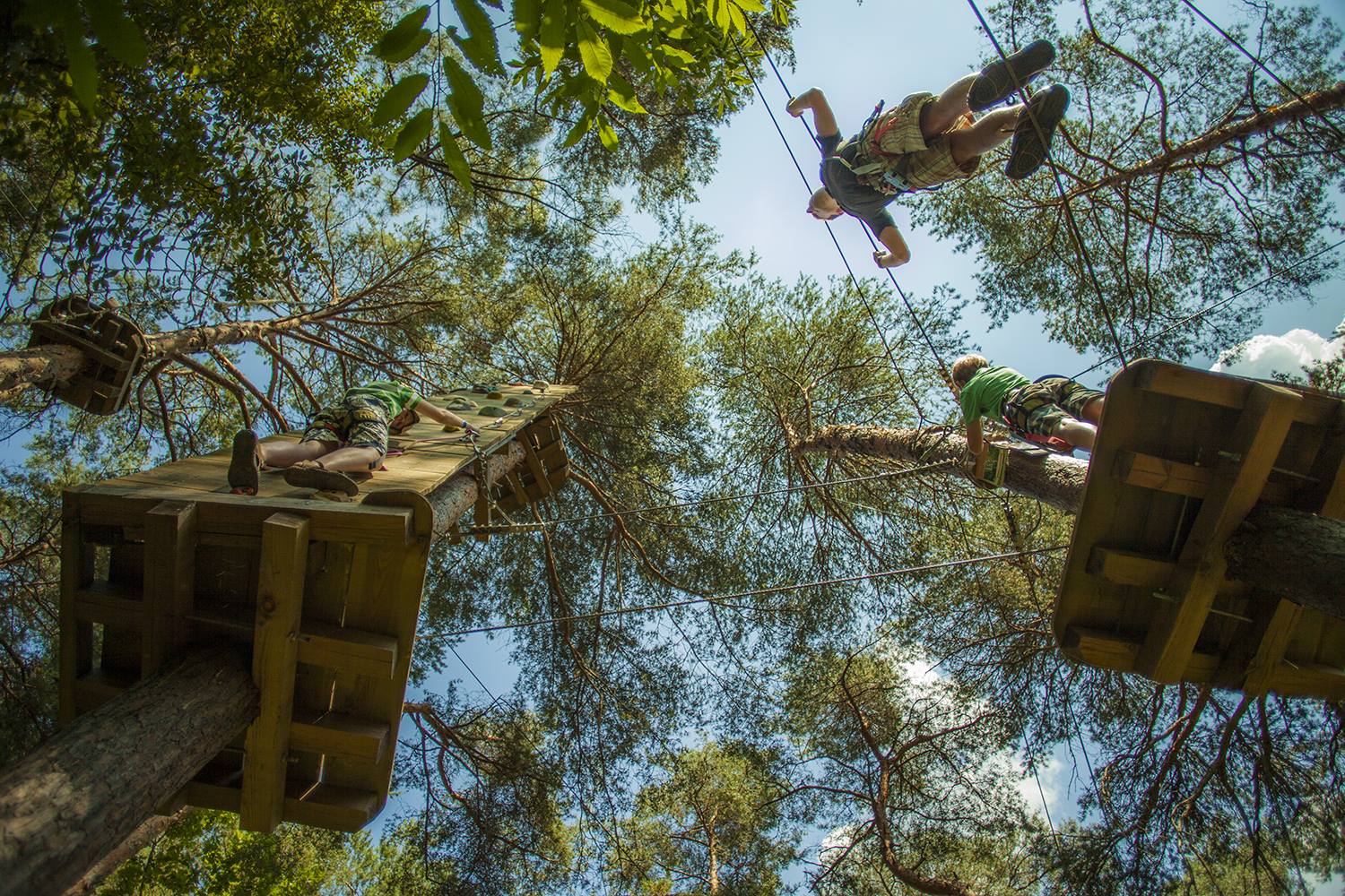 Arch'Aventure - Parcours en filet suspendu dans les arbres