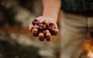 Espace Castanea : Meeting with a chestnut producer