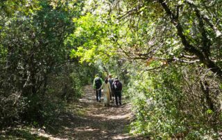 Journées européennes du Patrimoine - Randonnée découverte des dolmens des Oeillantes