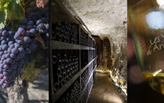 Atelier assemblage Côtes du Vivarais (à l’Aven d’Orgnac à 50 m sous terre !)