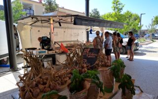 Marché de Meysse