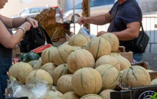 Marché de Meyras