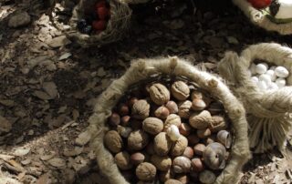 Atelier Cuisine Paléo