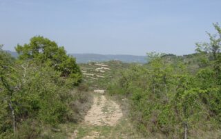 Circuit "Voie Royale et crêtes de Berg" à Villeneuve de Berg