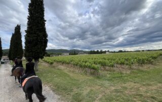 Guided Hike on horseback  - Equitation Chavetourte