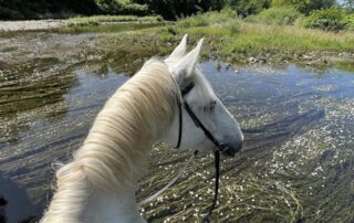 Traversée à cheval de rivières