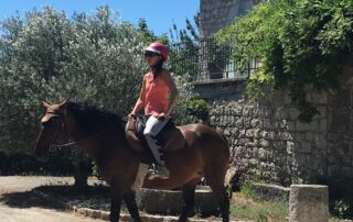 Traversée à cheval de rivières