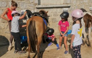 Balades à poneys et stages poneys à thème