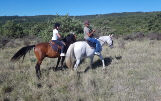 Horse ridings and riding center at the equestrian farm Le Relais de Vazeille