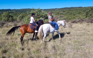 Equestrian farm Le Relais de Vazeille