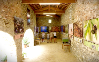 Exposition permanente Le Génie des Abeilles