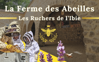 Visit to Les Ruchers de l'Ibie honey factory