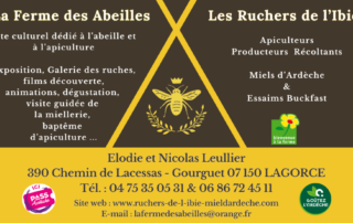 Visit to Les Ruchers de l'Ibie honey factory