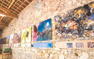 Exposition : Le genie des abeilles