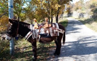 Go for a trip with donkeys of Camin'âne