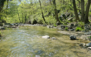 Chalets d'Arbres - Chalet Rouge 4 personnes