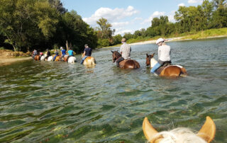 Ferme Equestre - Equitation Chavetourte