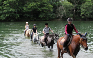 Ferme Equestre - Equitation Chavetourte