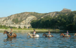 Ferme Equestre - Equitation Chavetourte