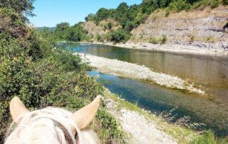 Ferme Equestre - Equitation Chavetourte