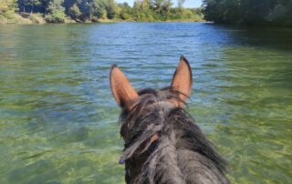 Ferme Equestre - Equitation Chavetourte