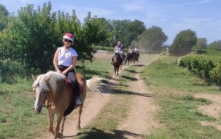 Ferme Equestre - Equitation Chavetourte