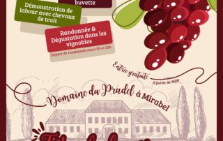 Fête de la Vigne_Mirabel