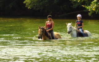 Balades à poneys et stages poneys à thème