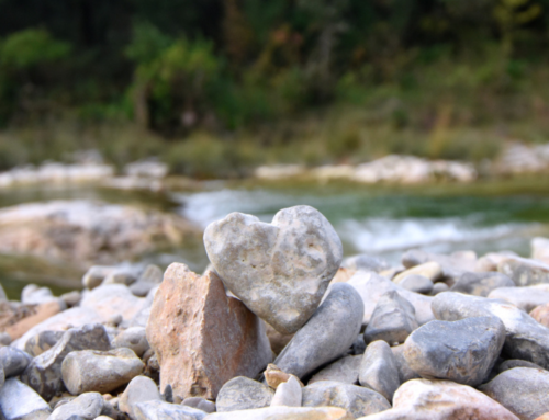 Quels cadeaux offrir pour la Saint-Valentin ?