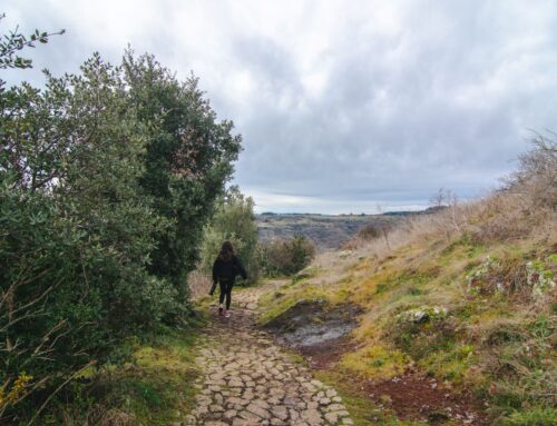 J’ai visité le pays de Berg et Coiron en Ardèche cet hiver